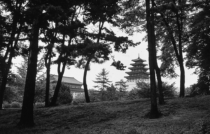 RAW28 gelatin silver print 20x30cm wooden framed