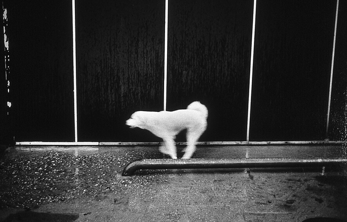 RAW29 gelatin silver print 20x30cm wooden framed