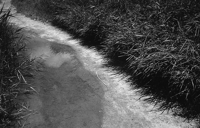 RAW32 gelatin silver print 20x30cm wooden framed