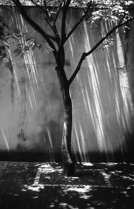 RAW37 gelatin silver print 30x20cm wooden framed