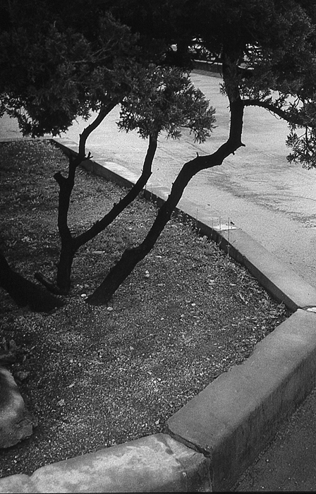 RAW43 gelatin silver print 30x20cm wooden framed