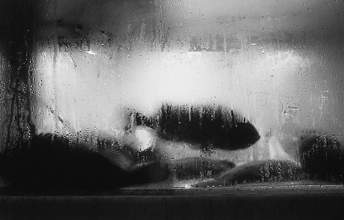 RAW44 gelatin silver print 20x30cm wooden framed