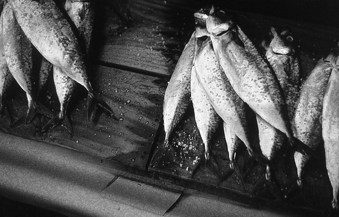 RAW45 gelatin silver print 20x30cm wooden framed