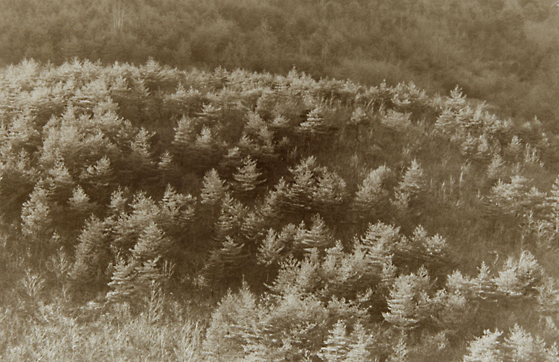 SMELL OF THE BLACK SEA  07 gelatin silver print 35x55cm wooden framed