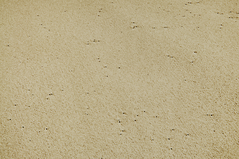 SMELL OF THE BLACK SEA  08 gelatin silver print 35x55cm wooden framed