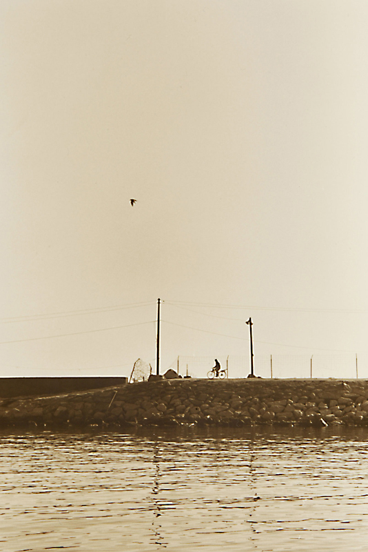 SMELL OF THE BLACK SEA  15 gelatin silver print 55x35cm wooden framed