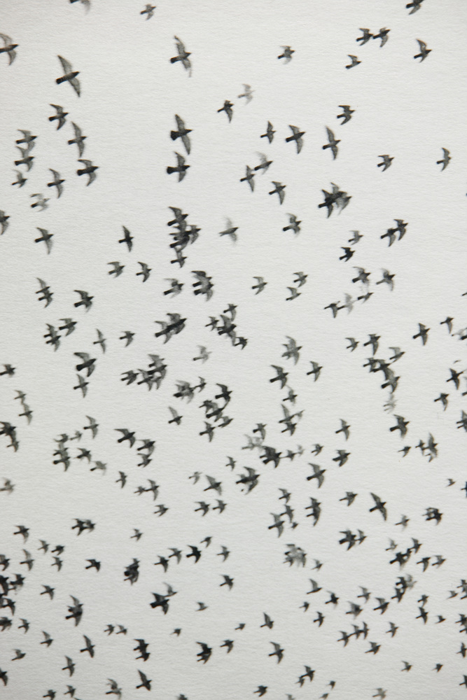 SW03 gelatin silver print 30x20cm wooden framed