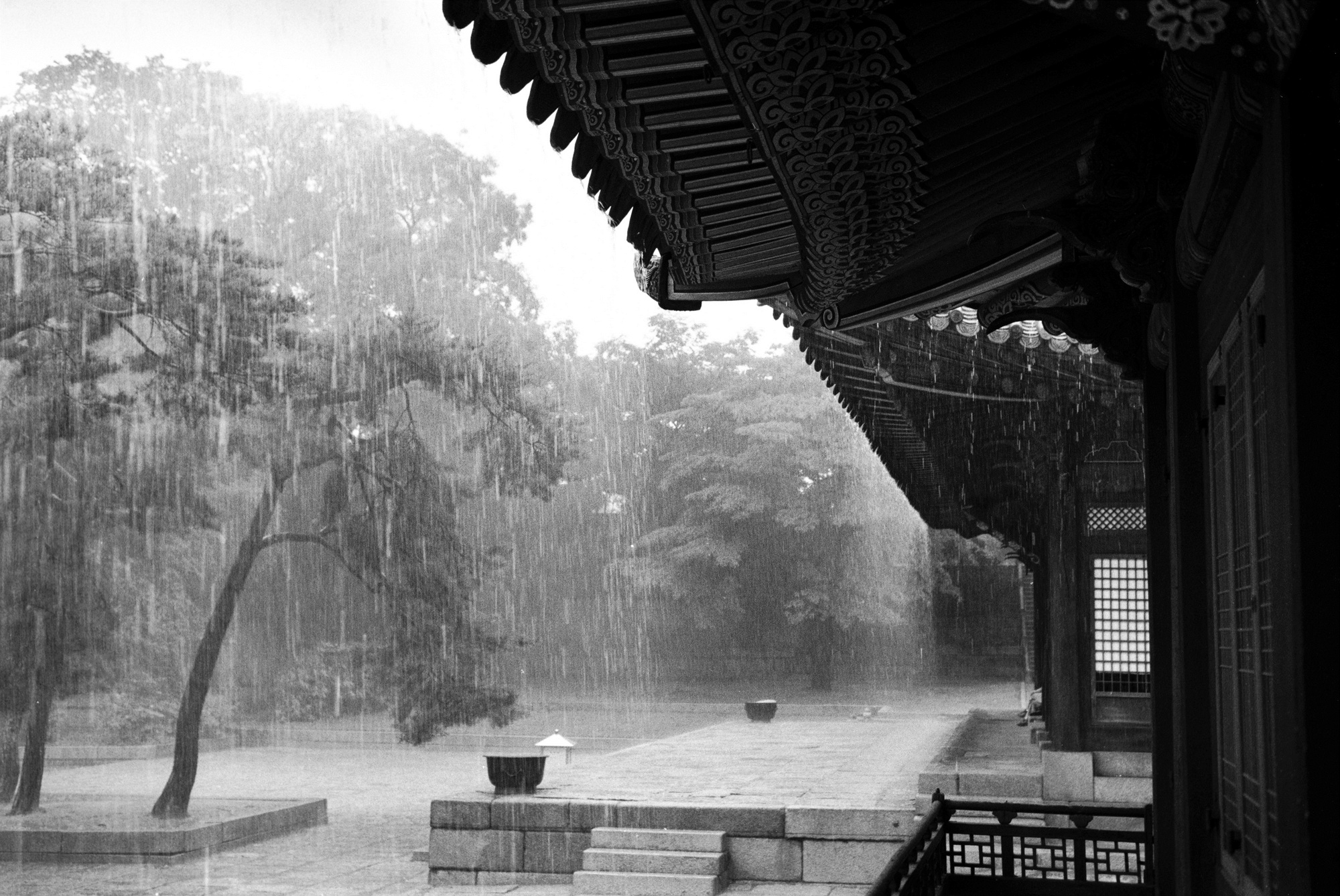 SW07 gelatin silver print 20x30cm wooden framed