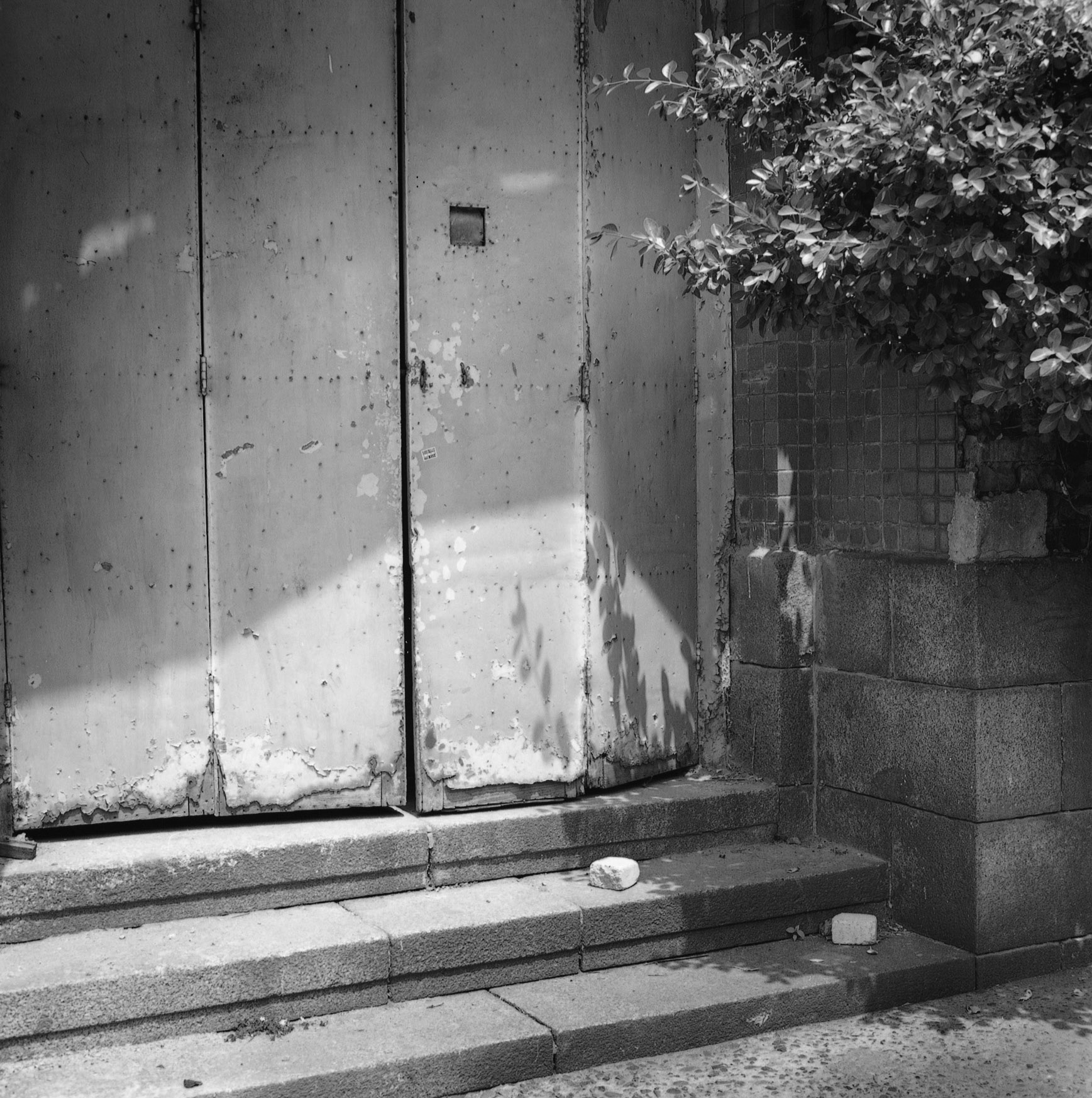 SW13 gelatin silver print 45x45cm wooden framed