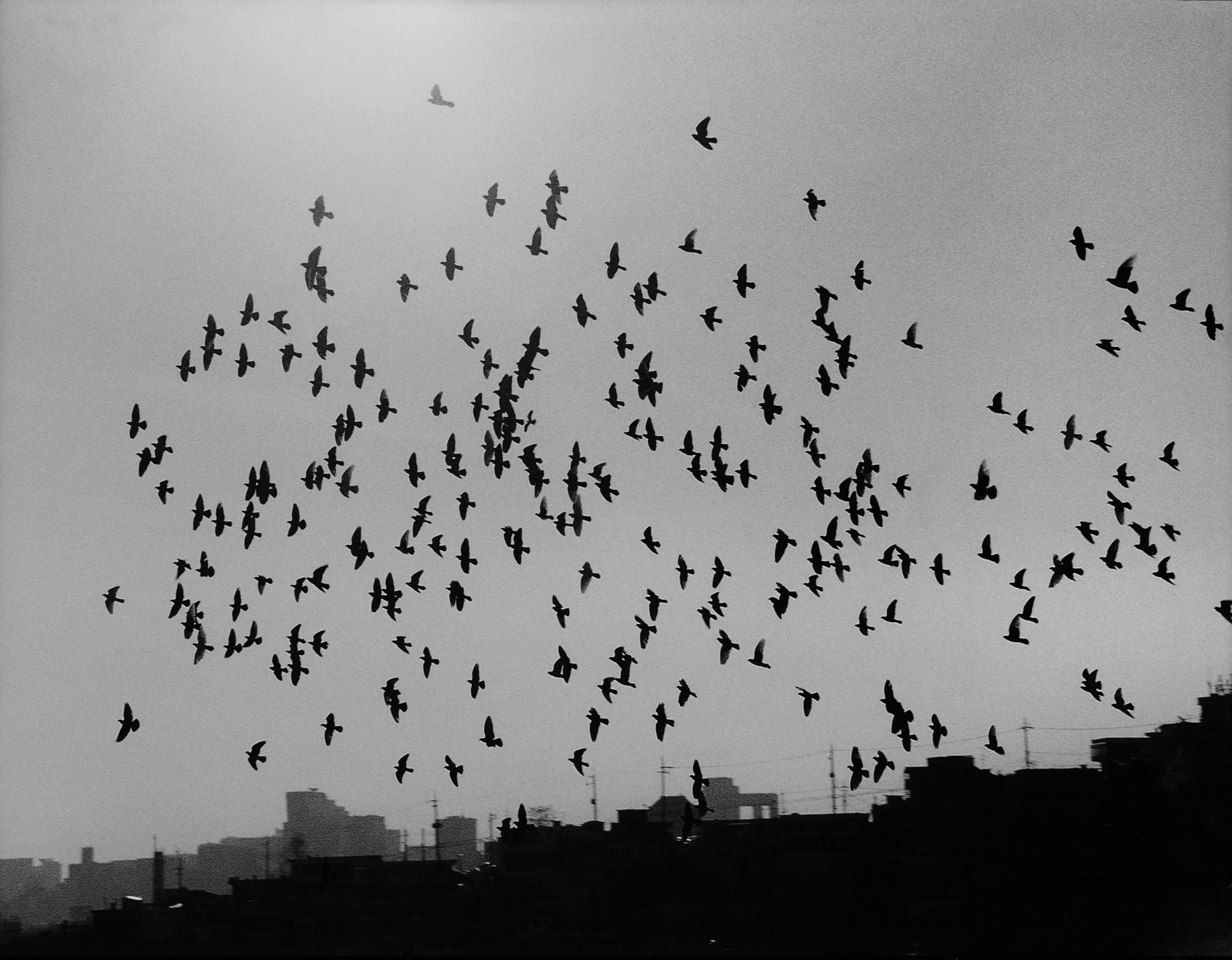 SW16 gelatin silver print 20x30cm wooden framed