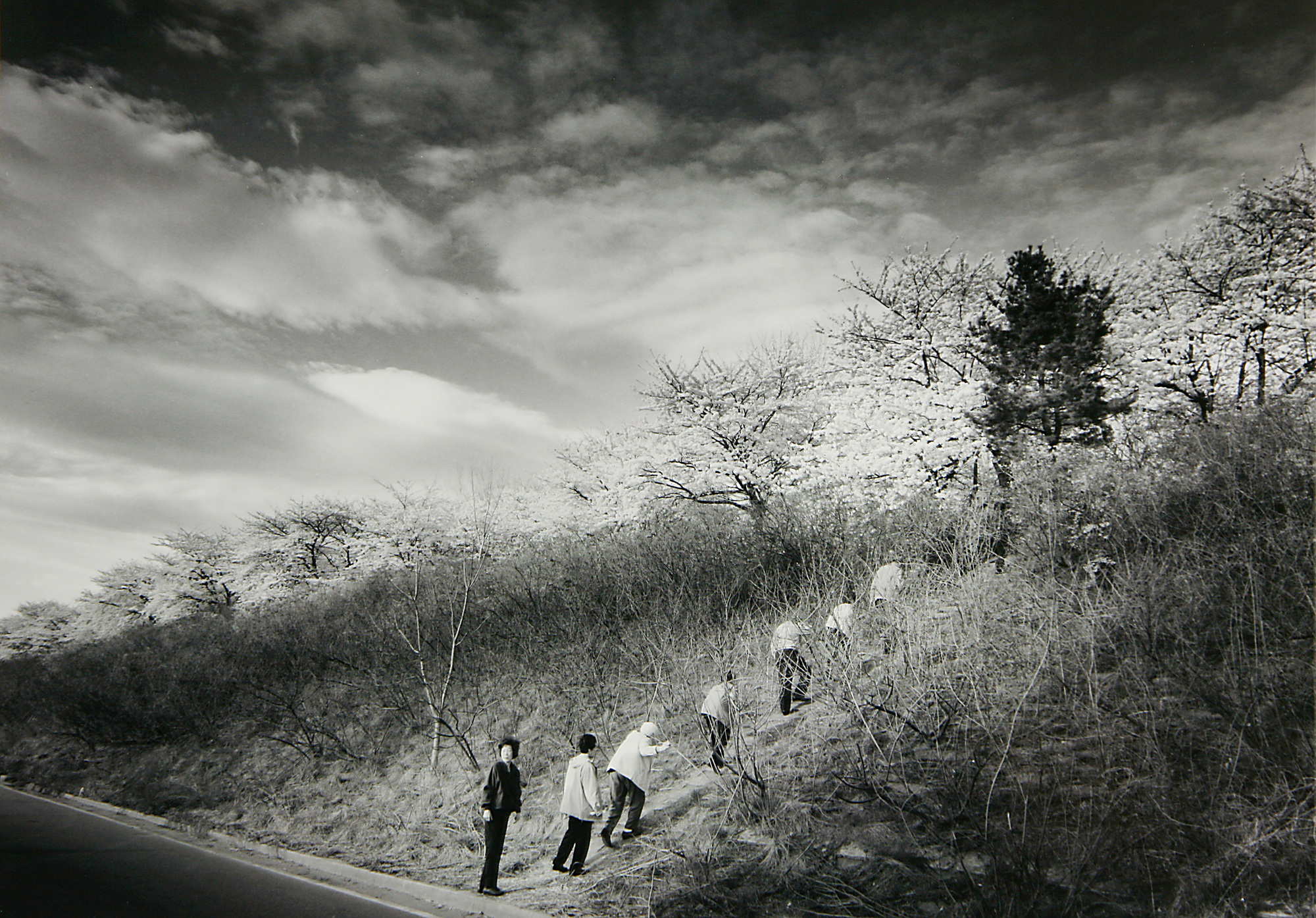 SW21 gelatin silver print 20x30cm wooden framed