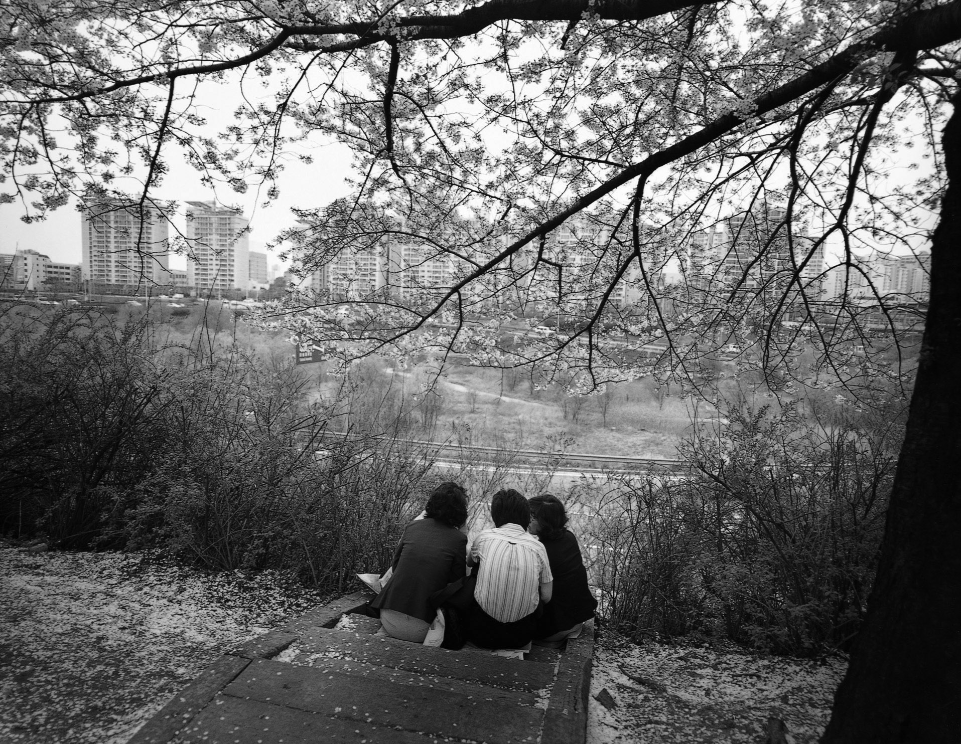 SW22 gelatin silver print 45x55cm wooden framed