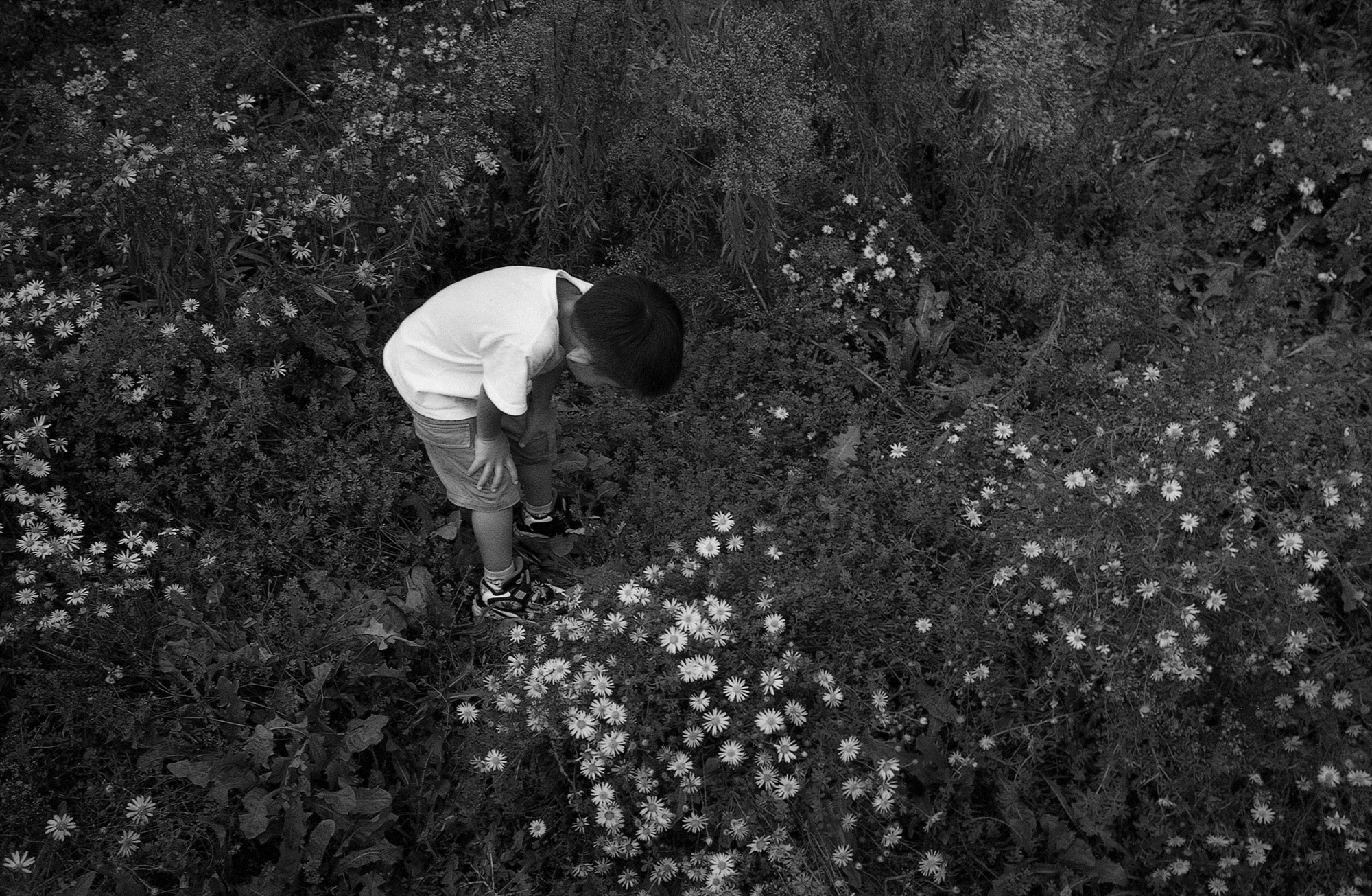 SW23 gelatin silver print 20x30cm wooden framed