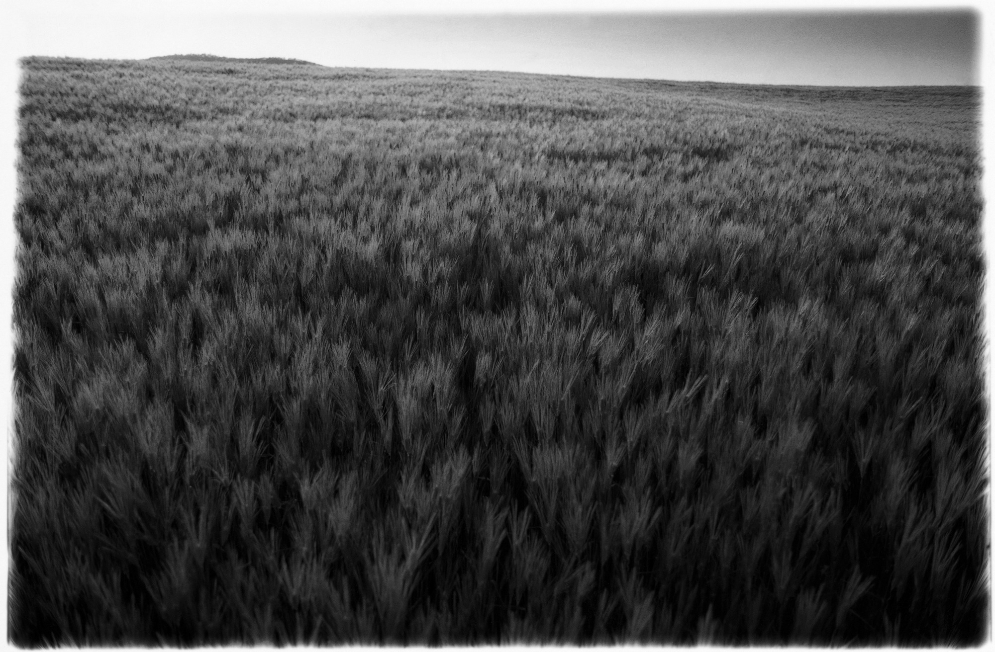 SW25 gelatin silver print 20x30cm wooden framed