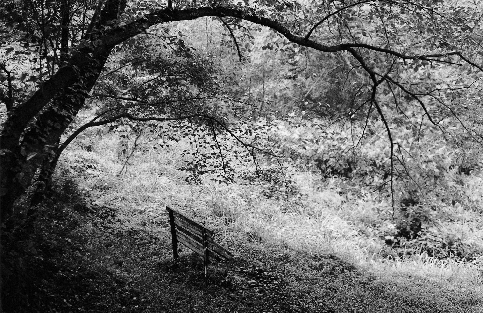 SW27 gelatin silver print 20x30cm wooden framed