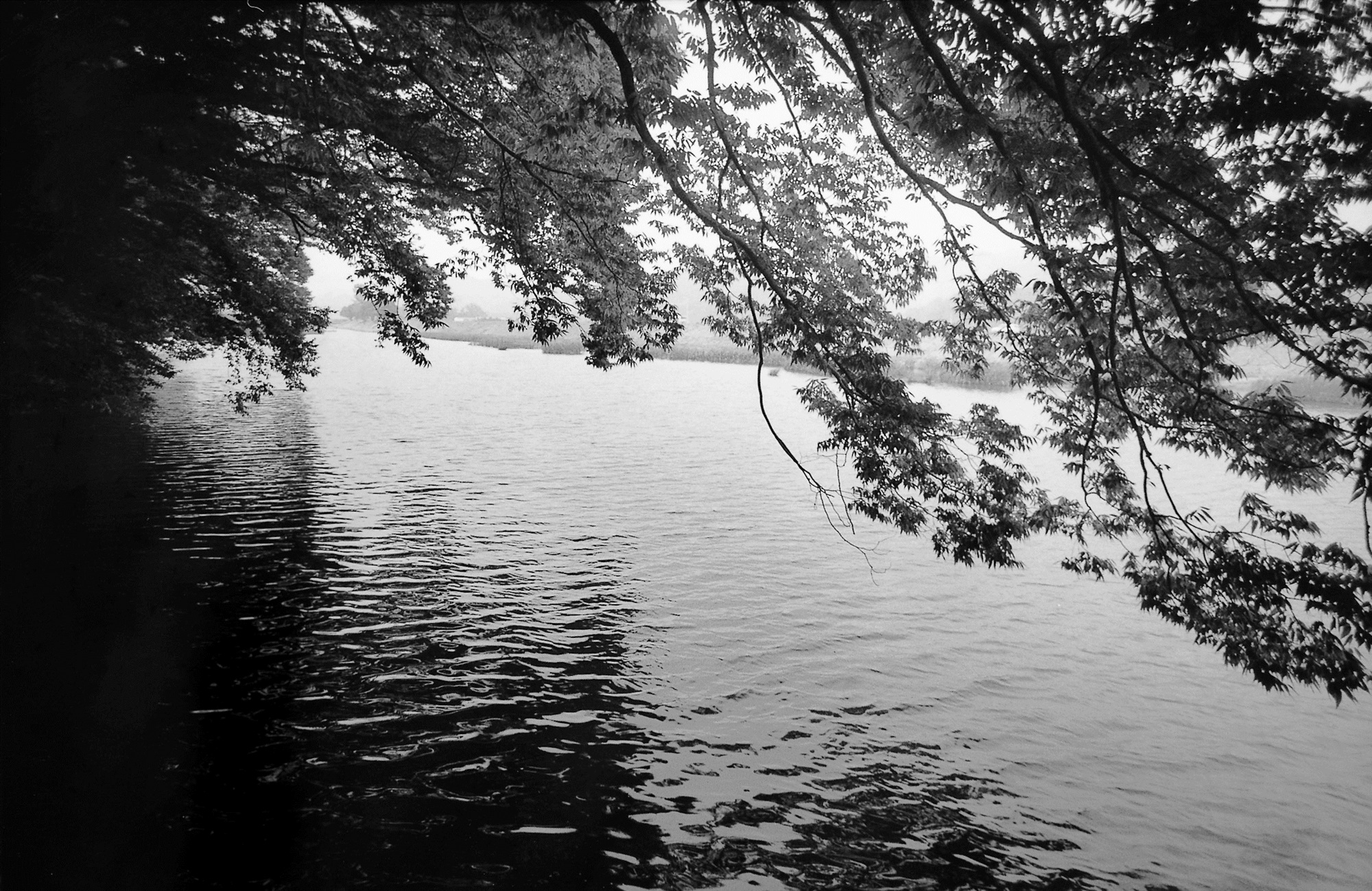 SW28 gelatin silver print 20x30cm wooden framed