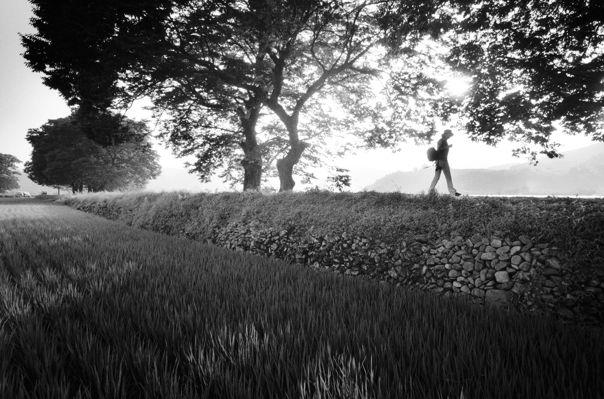 SW30 gelatin silver print 20x30cm wooden framed