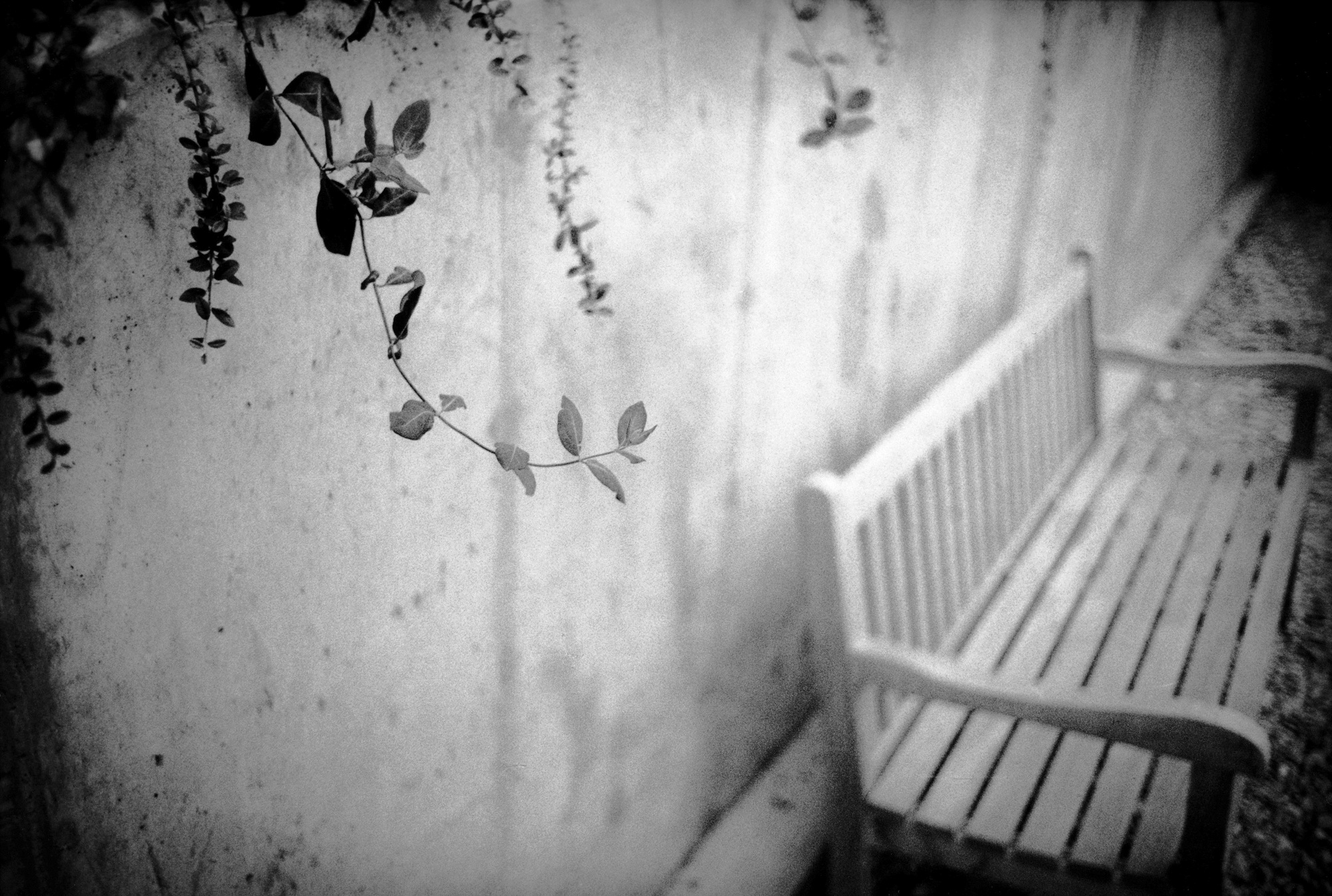 SW35 gelatin silver print 20x30cm wooden framed