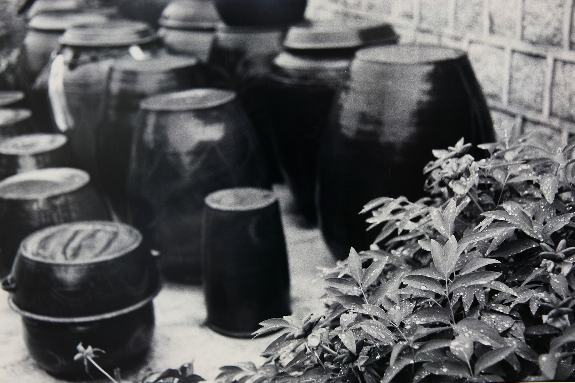 SW45 gelatin silver print 20x30cm wooden framed