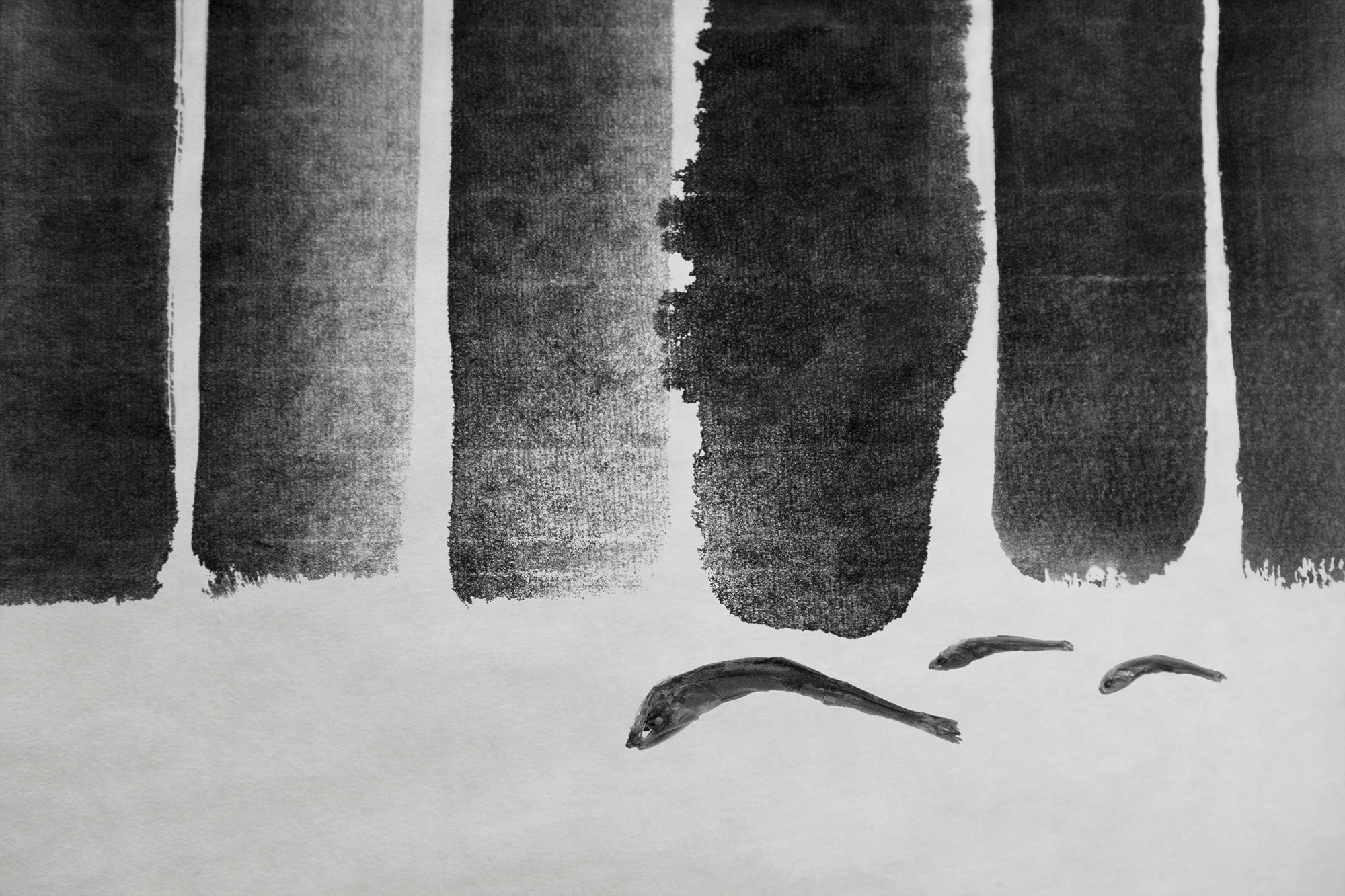Sonata for anchovy #13_inkjet print on fineart paper_62x93cm _2010