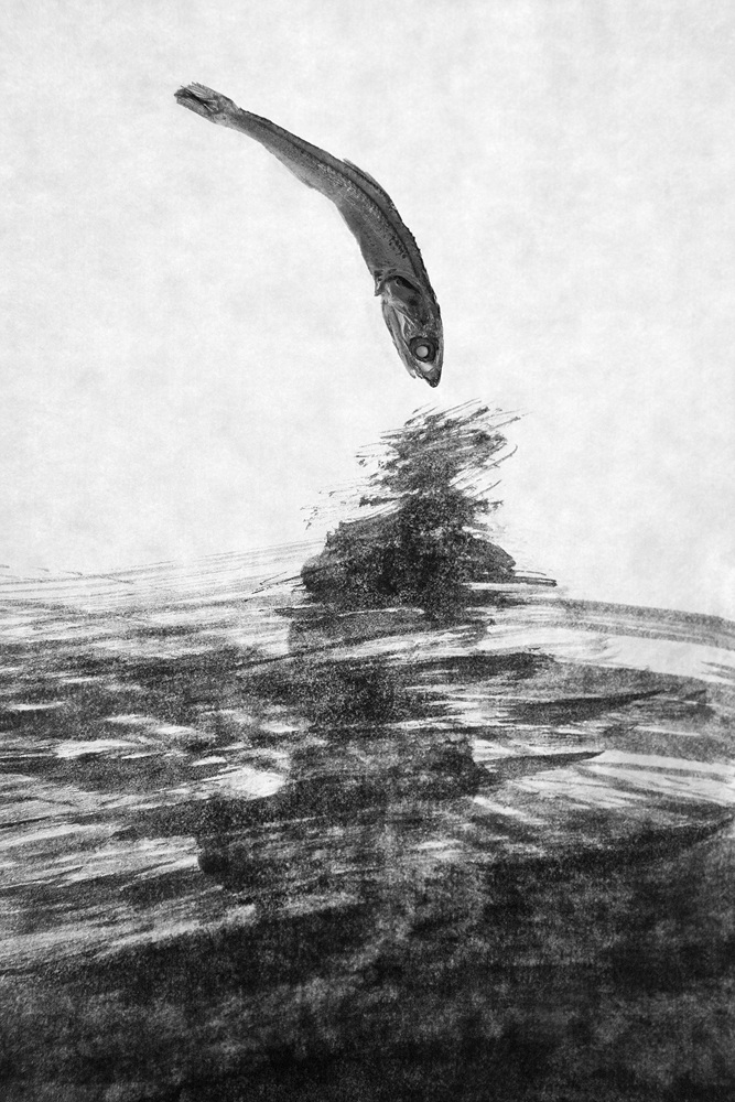 Sonata for anchovy #15_inkjet print on fineart paper_64.5x43cm _2010