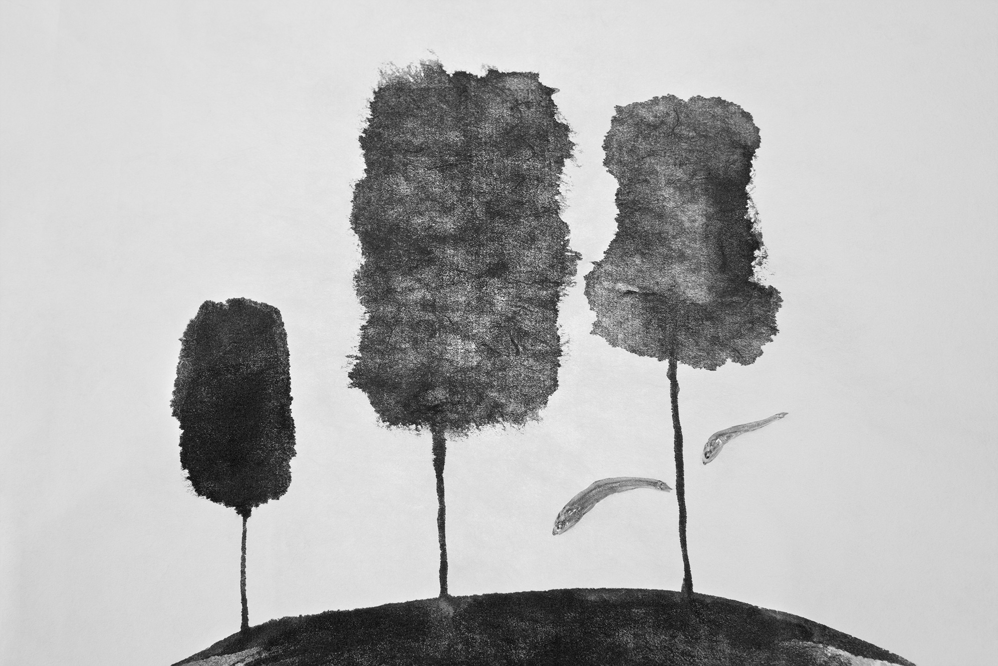 Sonata for anchovy #2_inkjet print on fineart paper_62x93cm _2010