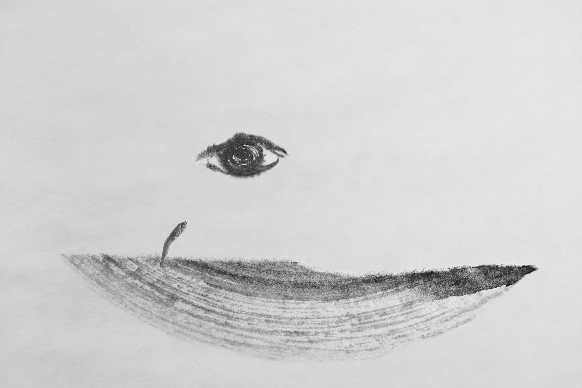 Sonata for anchovy #7_inkjet print on fineart paper_43x64.5cm _2010