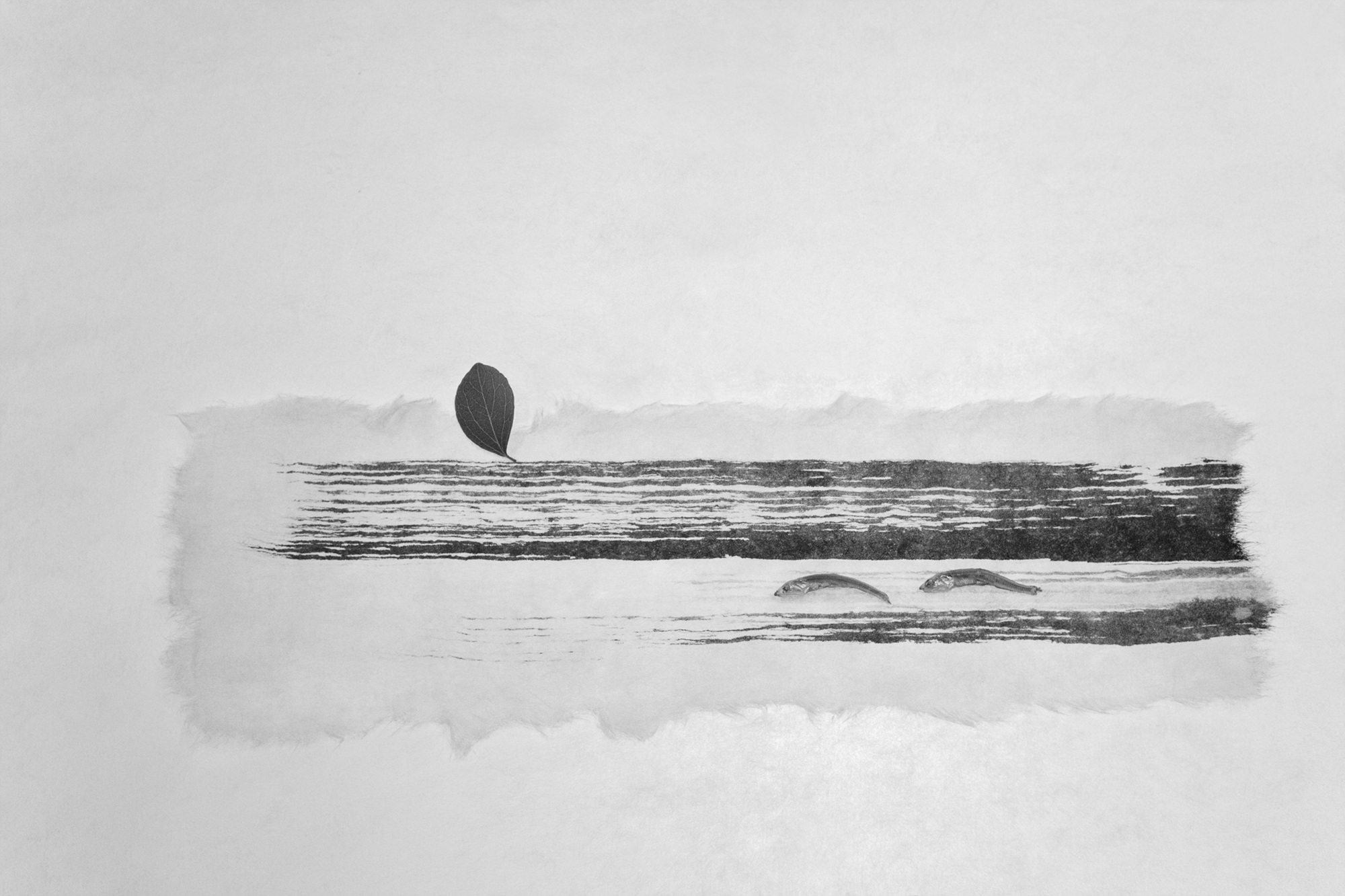 Sonata for anchovy #8_inkjet print on fineart paper_43x64.5cm _2010