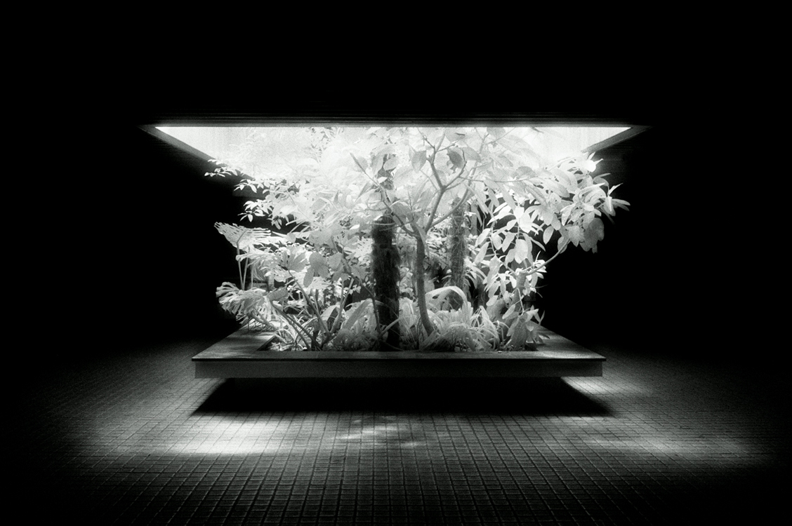 green01 100x150cm   c-print mounted on plaxiglas wooden framed