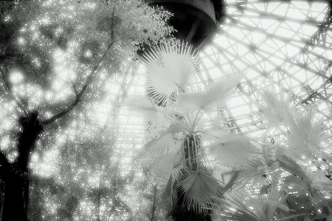 green02 100x150cm  c-print mounted on plaxiglas wooden framed