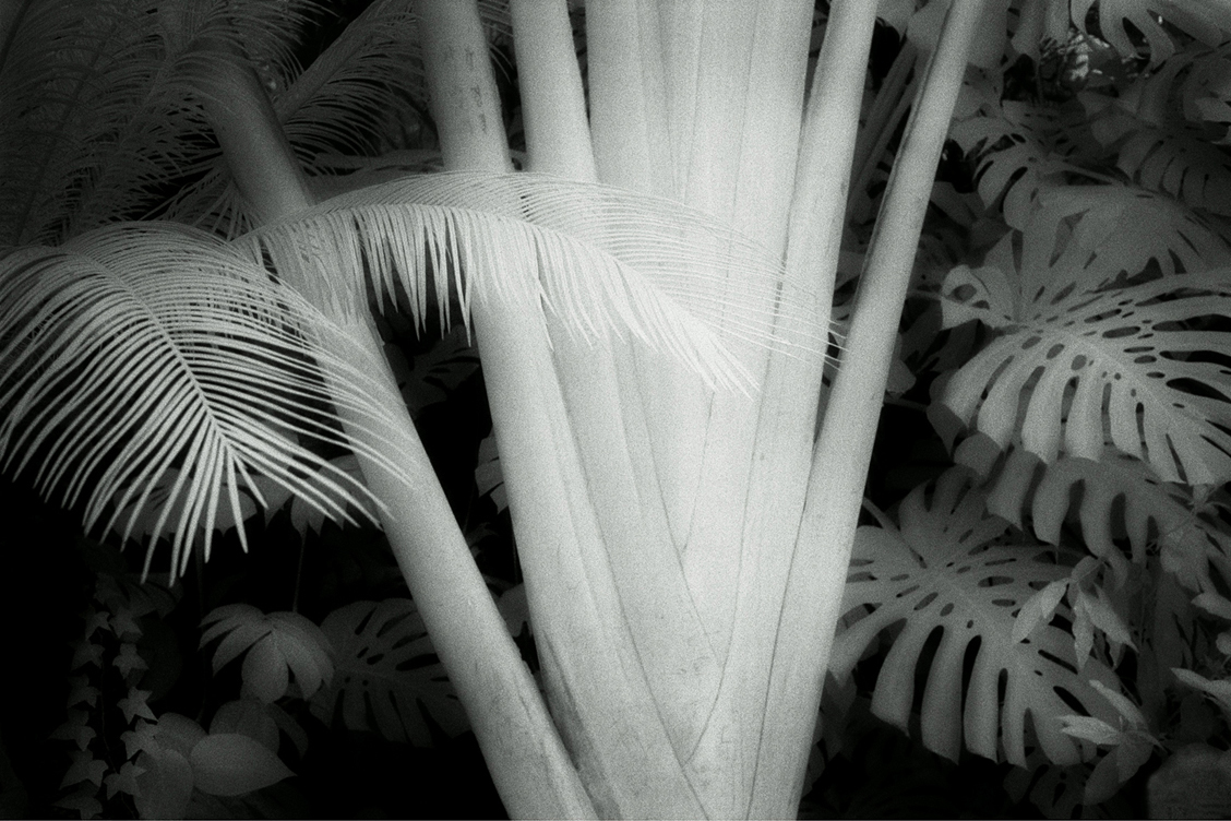 green03 60x90cm  c-print mounted on plaxiglas wooden framed