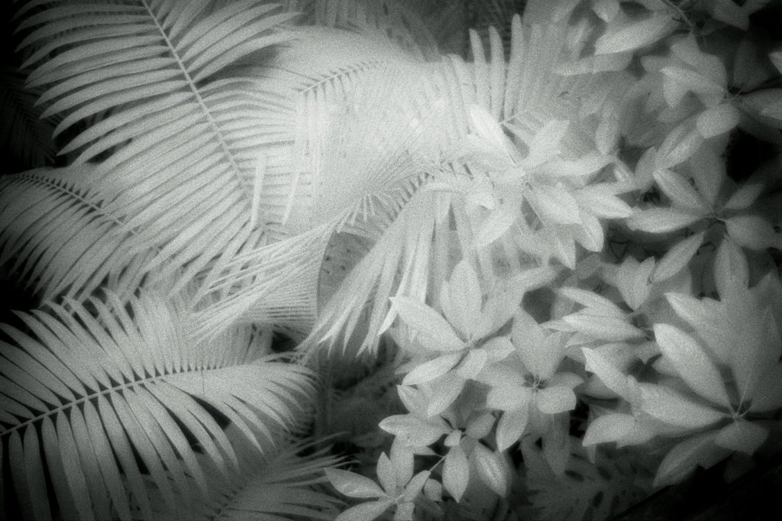 green04 60x90cm  c-print mounted on plaxiglas wooden framed