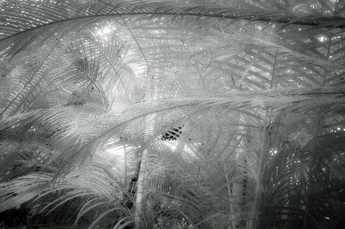 green07 60x90cm  c-print mounted on plaxiglas wooden framed