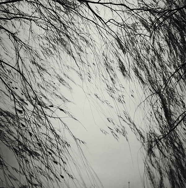 summer of 37c 08 gelatin silver print 45x45cm wooden framed