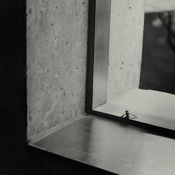 summer of 37c 12 gelatin silver print 45x45cm wooden framed