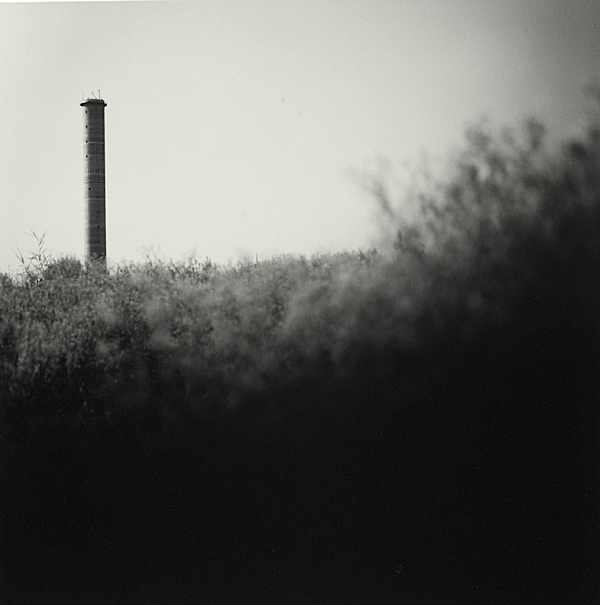 summer of 37c 15 gelatin silver print 45x45cm wooden framed