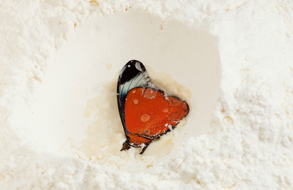 wrist cut syndrome_1, 2008