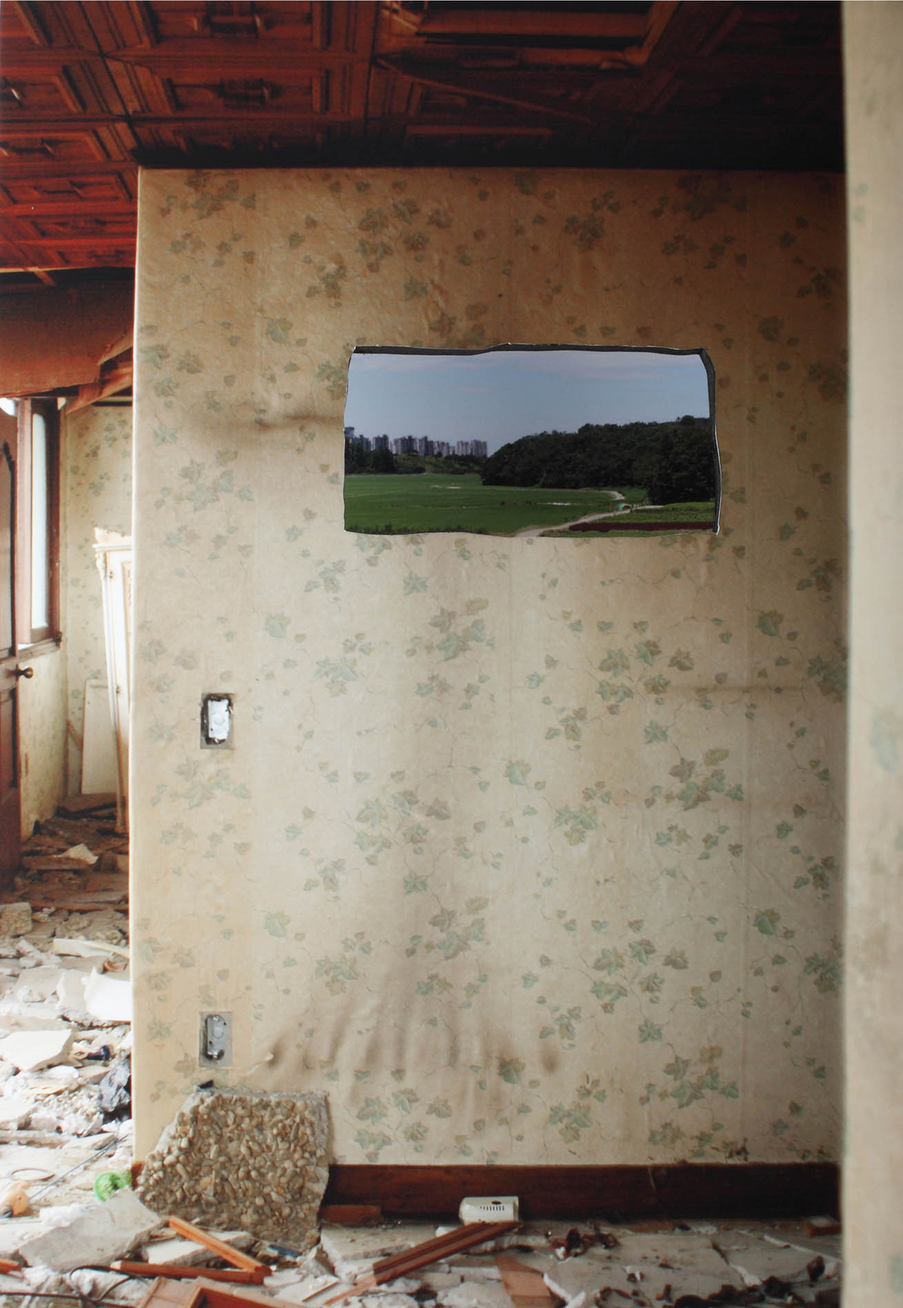 담쟁이벽 The ivy wall_Archival inkjet print_71x130cm_2012