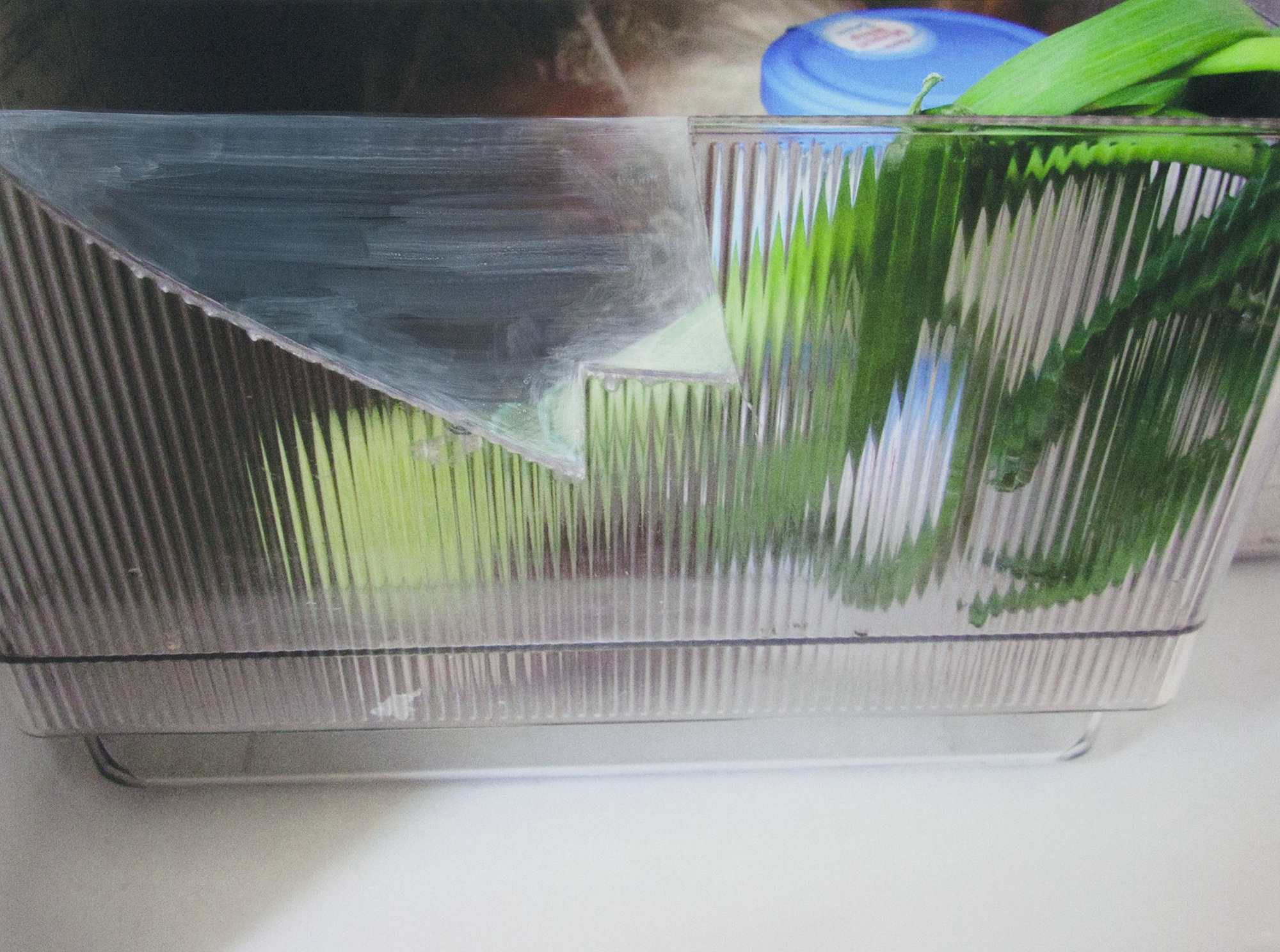 방법 Method, acryl on inkjet print, 75x100cm, 2011