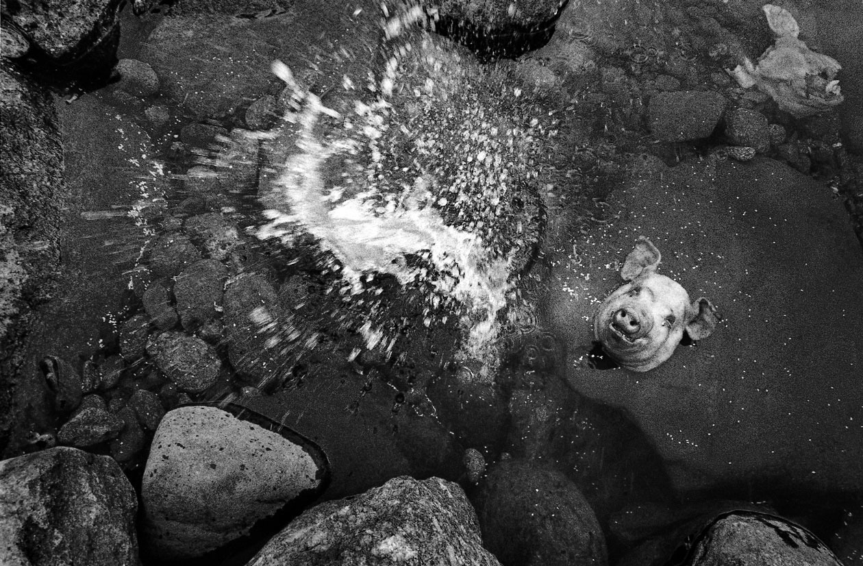 충돌과 반동-기원의 흔적, 산청, 1993