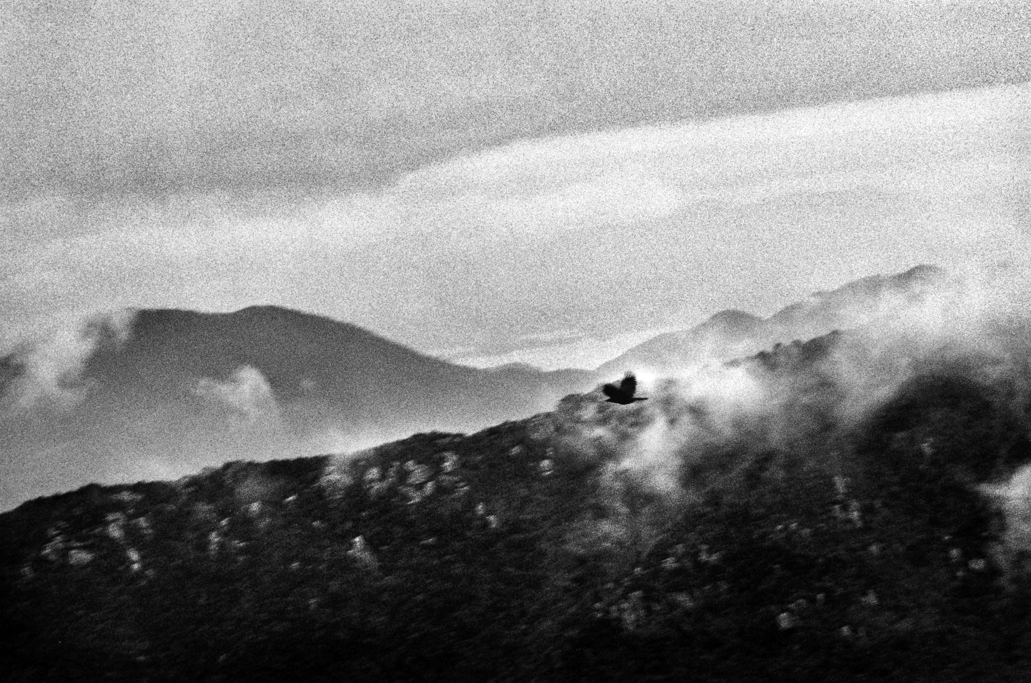 충돌과 반동-산을 스치는 구름과 새, 남해, 1994