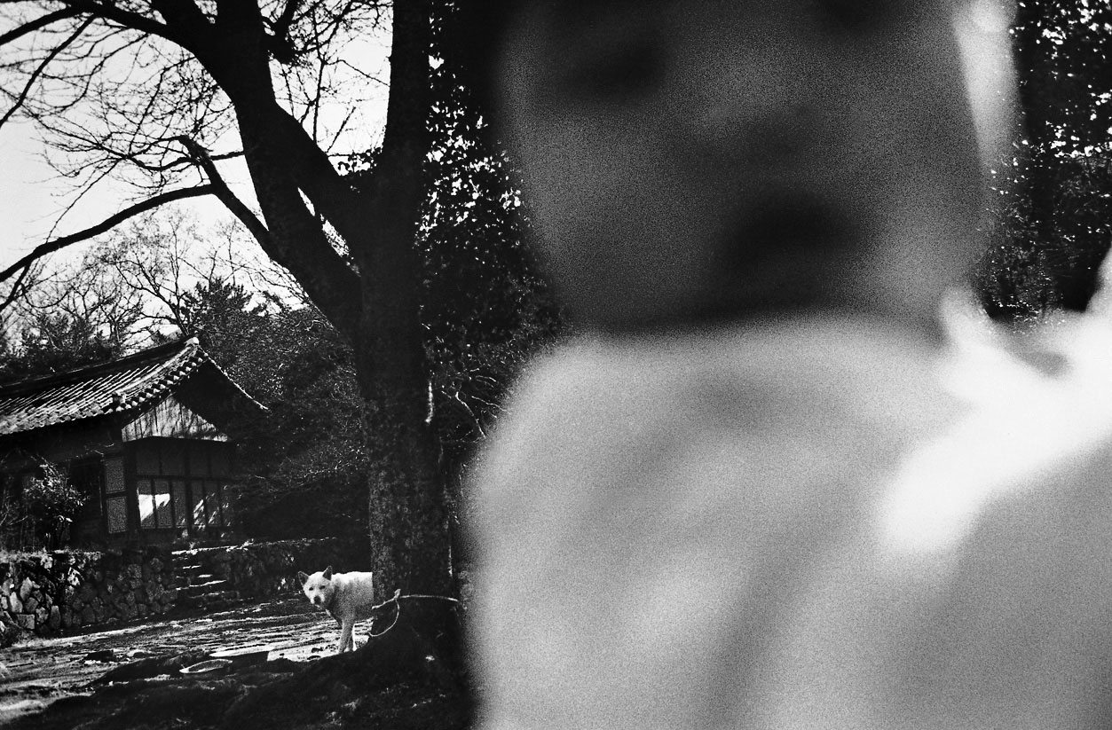 충돌과 반동-어떤 날, 진도, 1991