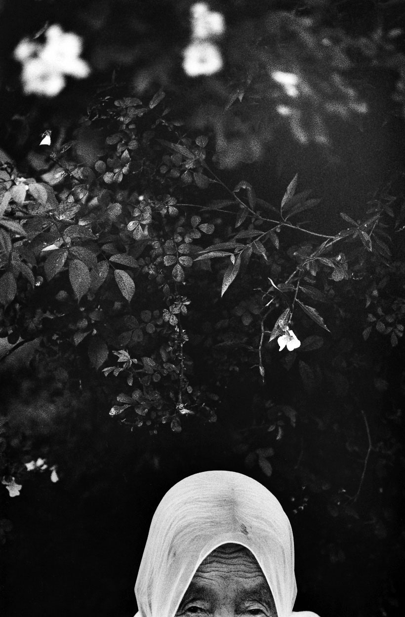 충돌과 반동-찔레꽃과 할머니, 합천, 1994