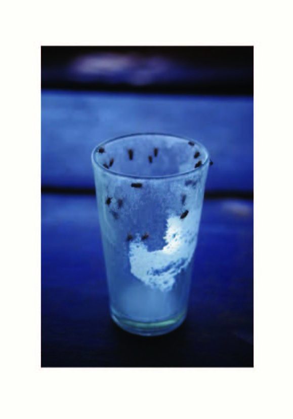 6 인간이 머물다 간 자리 Gelatin Silver Print, 91.5×66cm