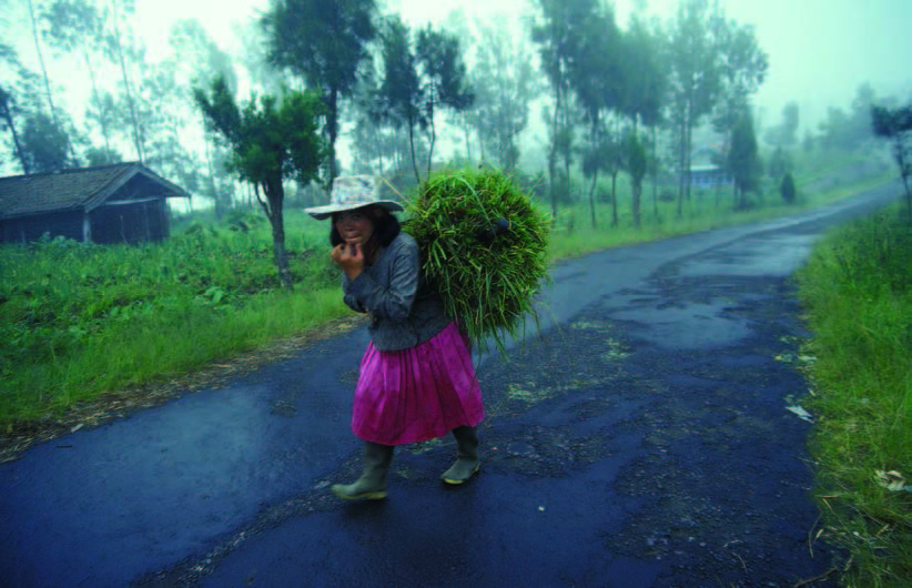 8 떠나고 만나고 Pigment Art Print, 61×89cm