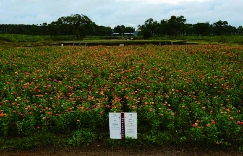 9 떠나고 만나고 Pigment Art Print, 61×84cm