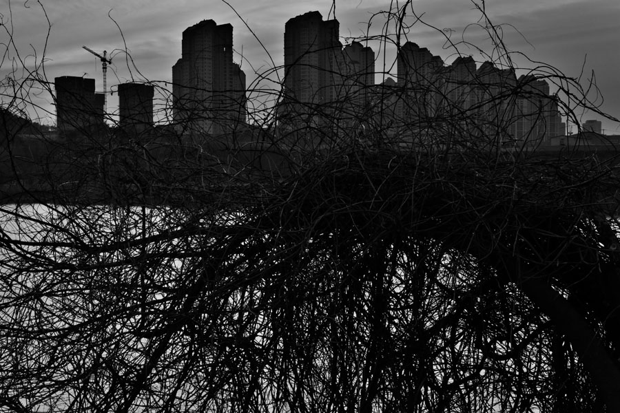 BABEL #10, Archival Pigment Print,  84x59.4cm, 2013