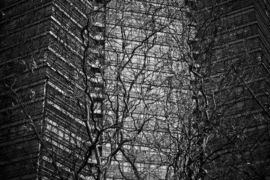 BABEL #11, Archival Pigment Print, 108.8x84cm, 2013