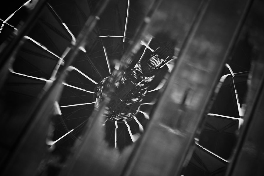 BABEL #19, Archival Pigment Print,  84x59.4cm, 2013