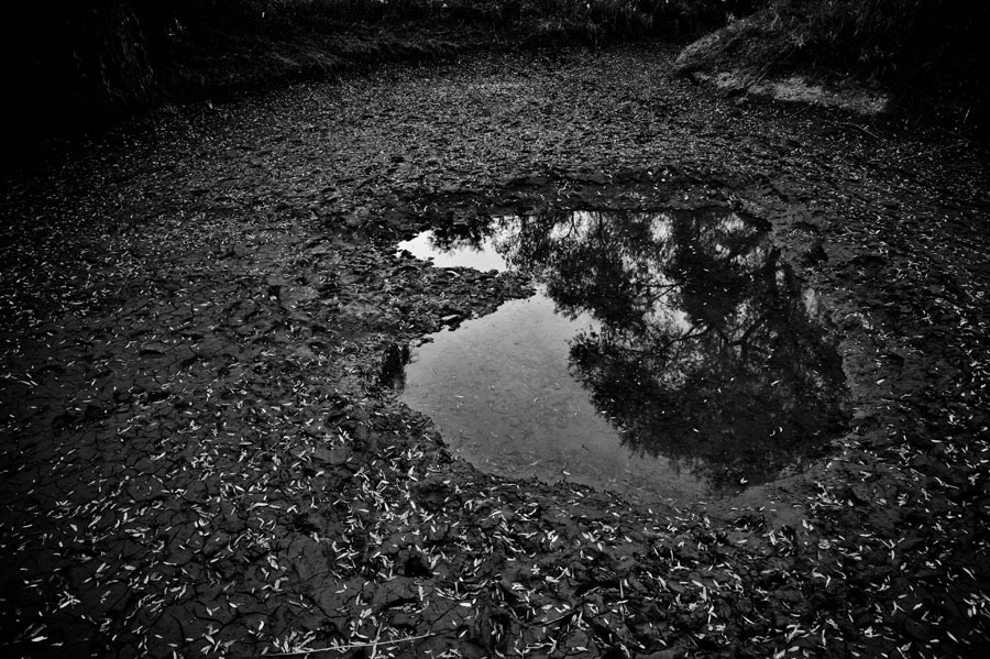 BABEL #20, Archival Pigment Print, 108.8x84cm, 2011